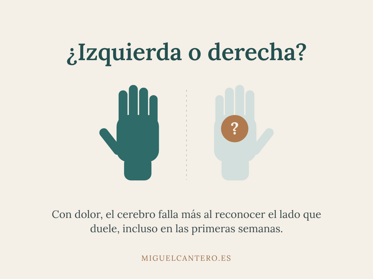 Dos manos en espejo y la pregunta izquierda o derecha, sobre cómo el dolor altera el mapa del cuerpo