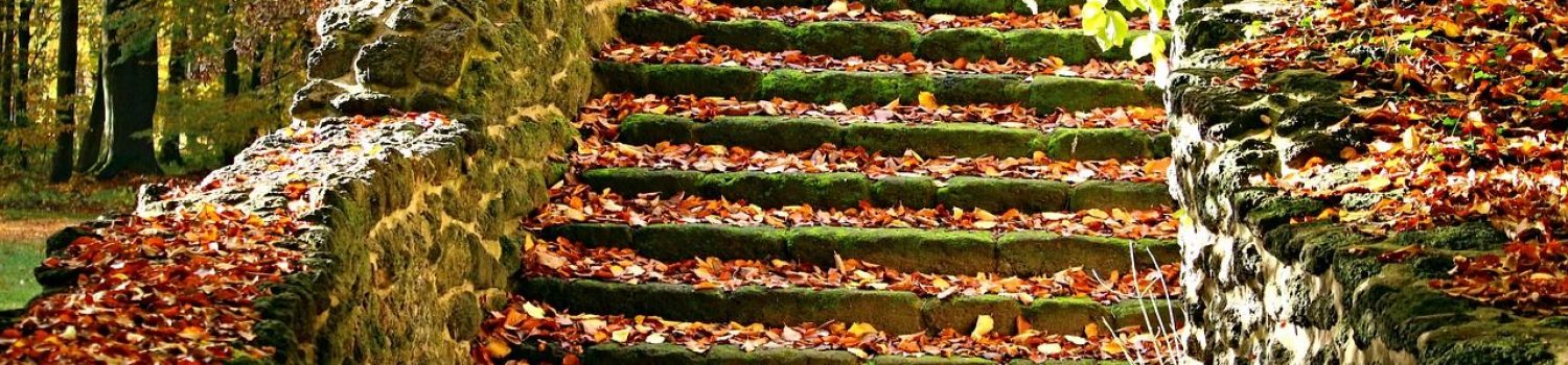 autumn, stairs, fall foliage